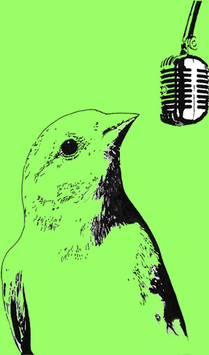 Songbird logo